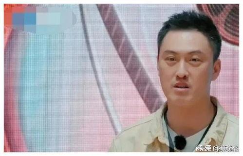 娱乐圈吃瓜爆料陈晓,揭秘明星背后的真相